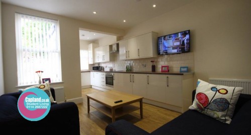 Kitchen & Living Space at 26 Harland Road